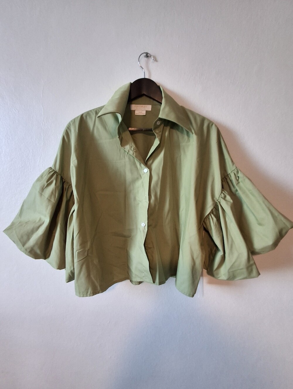 Light Green Button-Front Blouse with Statement Sleeves